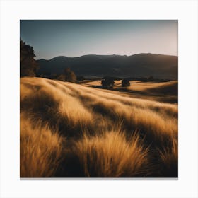 Sunset In A Field 3 Canvas Print