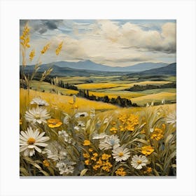 Daisy Field Canvas Print