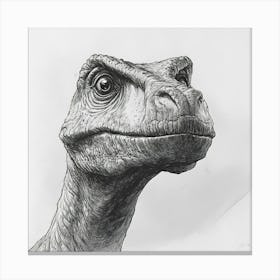 T-Rex Head Canvas Print