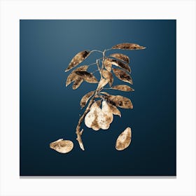 Gold Botanical Plum on Dusk Blue n.0267 Canvas Print