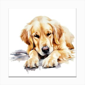 Golden Retriever Watercolor Painting 2 Canvas Print