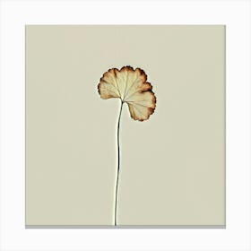 Ginkgo Leaf Canvas Print