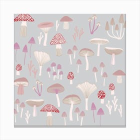 Mushrooms Toadstools And Fungi Canvas Print