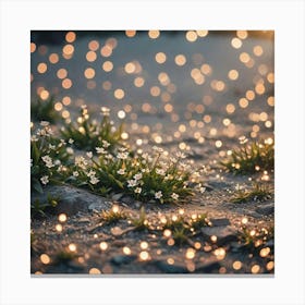 Bokeh Canvas Print