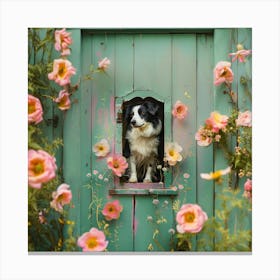 Border Collie In The Garden Canvas Print