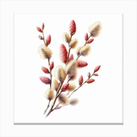 Flowers of Catkin Canvas Print