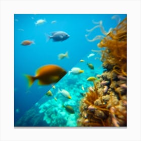 Fishes In The Ocean Canvas Print