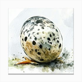 Quail Egg Canvas Print