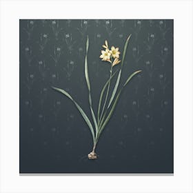 Vintage Gladiolus Lineatus Botanical on Slate Gray Pattern n.2215 Canvas Print