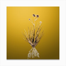 Gold Botanical Blue Corn Lily on Mango Yellow n.0631 Canvas Print