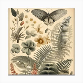 Botanical Print Canvas Print