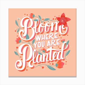 Bloom Where You Are Planted Hand Lettering With Flowers Square Canvas Print
