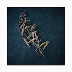 Moody Leaves Square Canvas Print