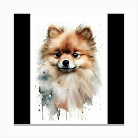 Pomeranian Watercolor Painting Canvas Print