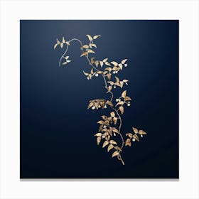 Gold Botanical Bridal Creeper on Midnight Navy n.0332 Canvas Print