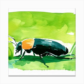 Beetle 2 Canvas Print