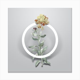 Vintage Yellow Wallflower Bloom Minimalist Botanical Geometric Circle on Soft Gray n.0158 Canvas Print