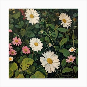 Daisies In The Garden 1 Canvas Print