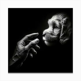 Paws Of Love Canvas Print