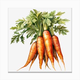 Carrots 7 Canvas Print