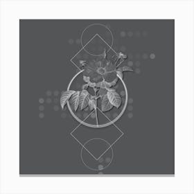 Vintage Speckled Provins Rose Botanical with Line Motif and Dot Pattern in Ghost Gray n.0077 Canvas Print
