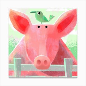 Pig With Pesky Bird Square Canvas Print