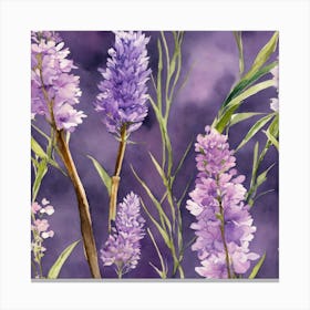 Lavender Flowers 1 Canvas Print