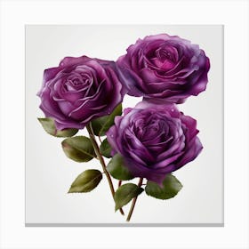 Purple Roses Canvas Print