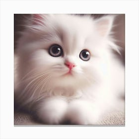 White Cat 7 Canvas Print