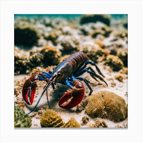 Red Lobster On Coral Reef Canvas Print
