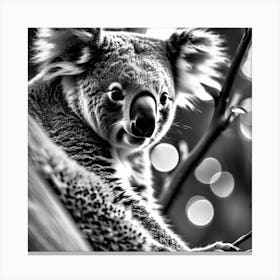 Koala 2 Canvas Print