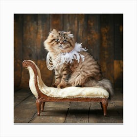 Persian Cat Sitting On A Chair Canvas Print