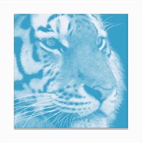 Tiger Pastel Blue Square Canvas Print