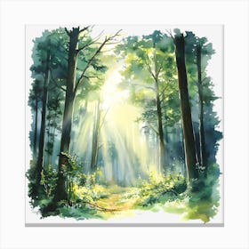 Forest Path 3 Canvas Print