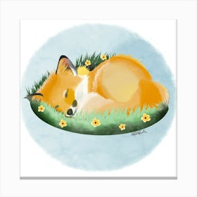 Fox/Renard Canvas Print