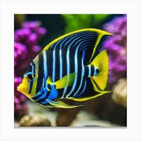 Angelfish 3 Canvas Print