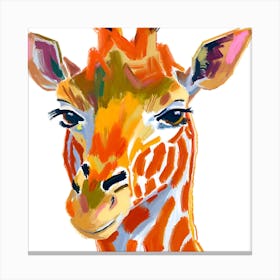 Reticulated Giraffe 04 Canvas Print