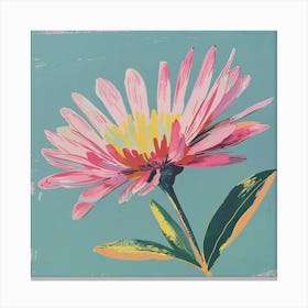 Asters 2 Square Flower Illustration Canvas Print