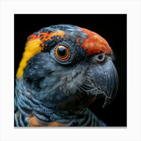 Parrot Portrait Canvas Print