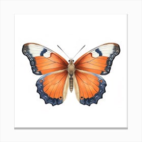 Butterfly 33 Canvas Print