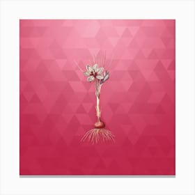 Vintage Crocus Sativus Botanical in Gold on Viva Magenta Canvas Print