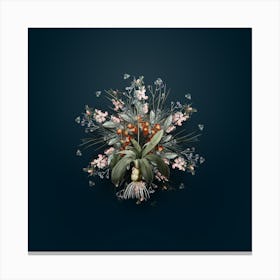 Vintage Scilla Lilio Hyacinthus Botanical Wreath on Teal Blue n.0028 Canvas Print