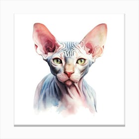 Sphynx Bambino Cat Portrait Canvas Print