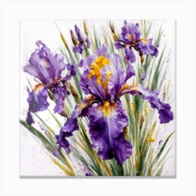 irises Canvas Print