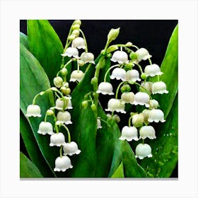 Lilies of the valley 4 Canvas Print