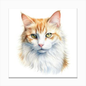 Turkish Van Cat Portrait 1 Canvas Print