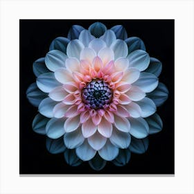 Macro Fl On Blk 10 Canvas Print