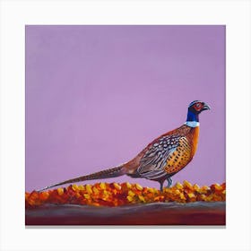 Autumnal pheasant SB Canvas Print