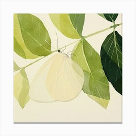 Butterfly On A Leaf 1 Canvas Print