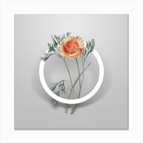 Vintage Saffron Eschscholzia Minimalist Flower Geometric Circle on Soft Gray n.0161 Canvas Print